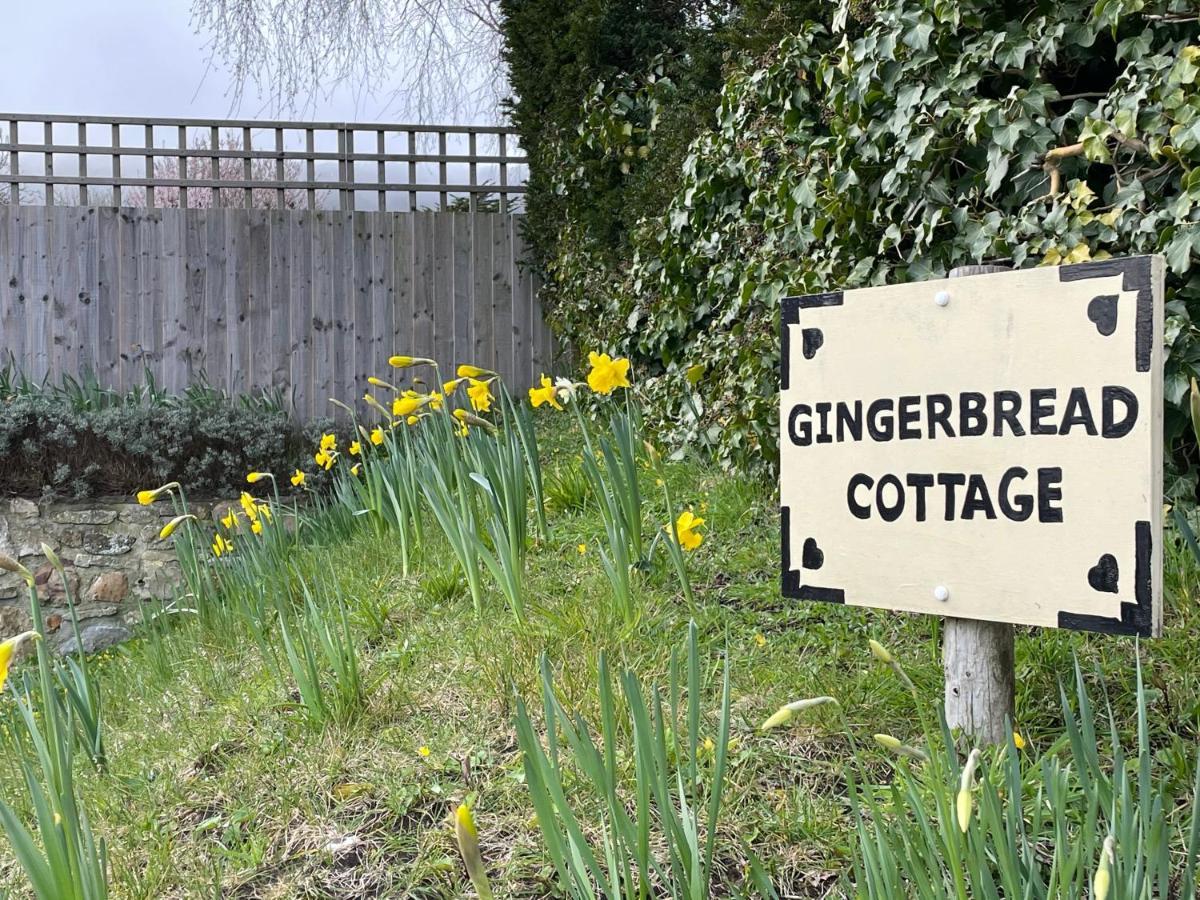 Gingerbread Cottage Chideock 외부 사진